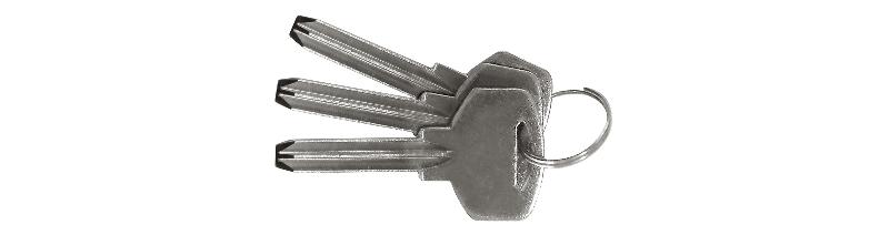 8139ZCH - 3 neutral spare keys
  for locks 8139Z