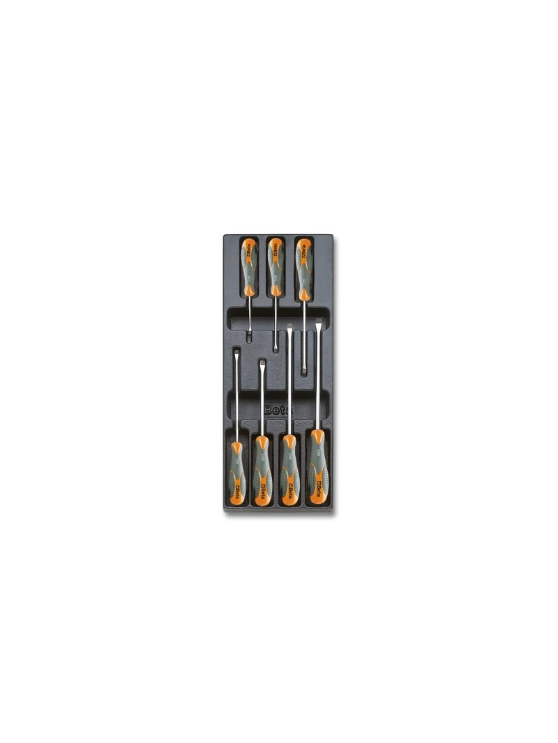 T170 - Hard thermoformed tray with tool assortment