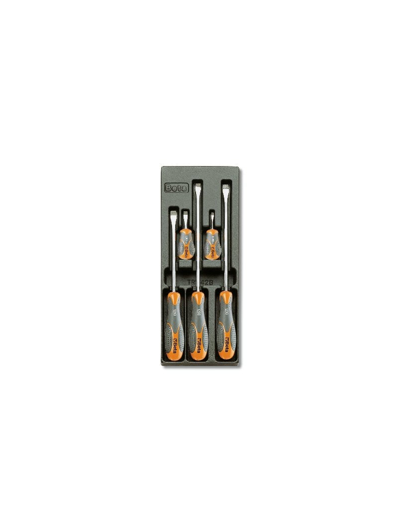 T171 - Hard thermoformed tray with tool assortment